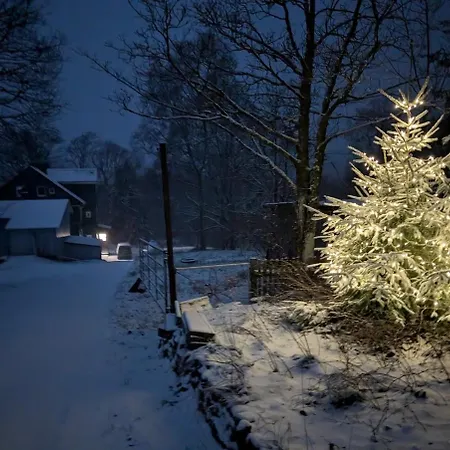 Gruen Im Oberharz Clausthal-Zellerfeld