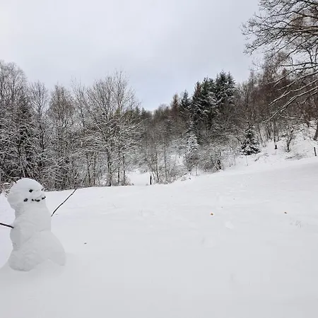 Gruen Im Oberharz